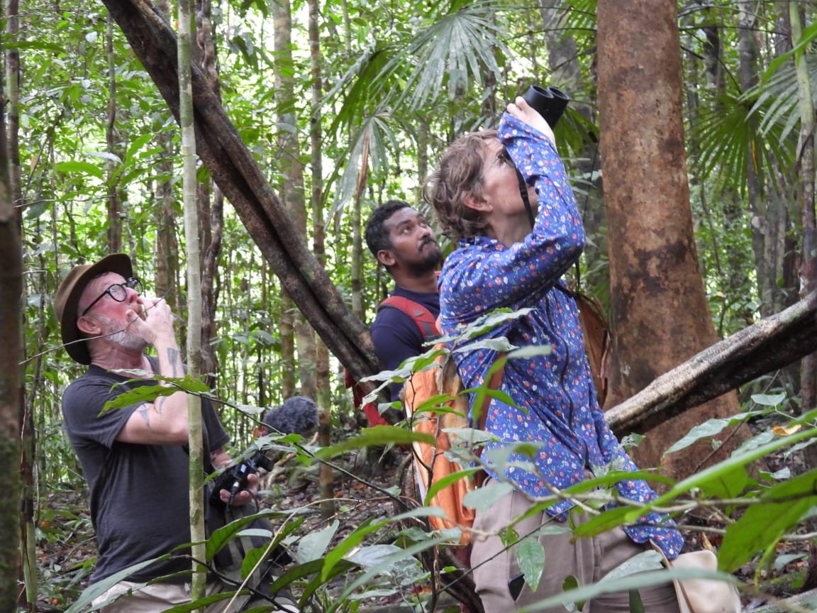 bird watching sorong area