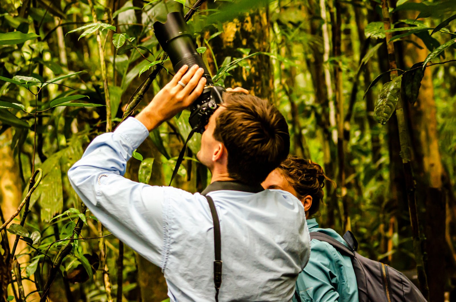photobirding bird watching west papua